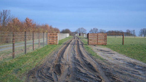 sisteme de împrejmuire construcție ferme de cerbi servicii complete de împrejmuire pentru zone întinse Polonia