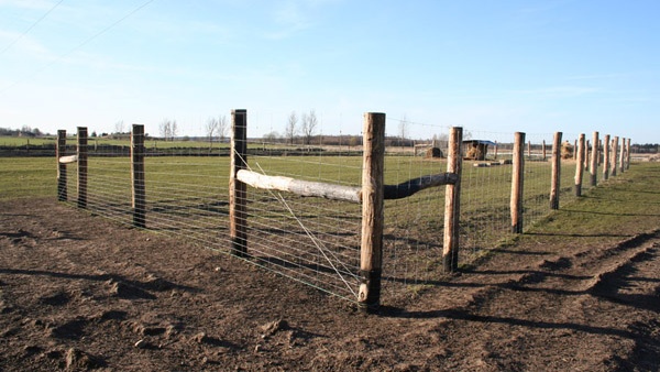sisteme de împrejmuire construcție ferme de cerbi servicii complete de împrejmuire pentru zone întinse Polonia